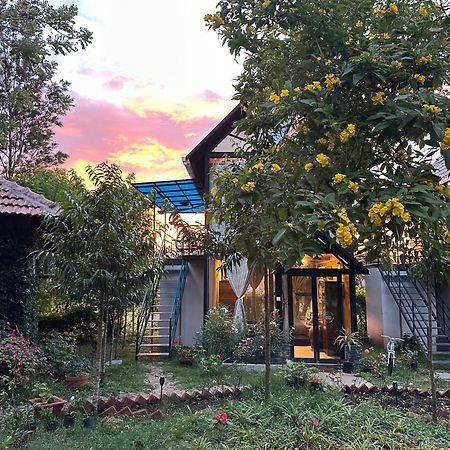 Chalets Resort Masinagudi Ooty Ngoại thất bức ảnh