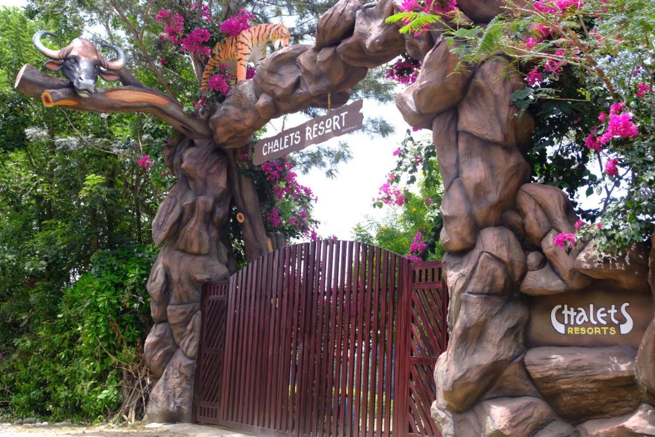Chalets Resort Masinagudi Ooty Ngoại thất bức ảnh
