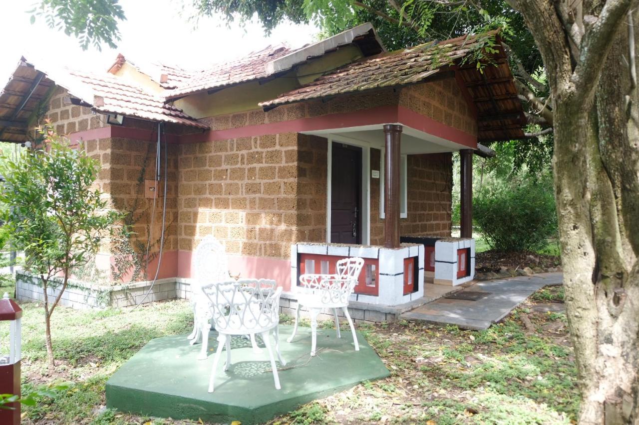 Chalets Resort Masinagudi Ooty Ngoại thất bức ảnh