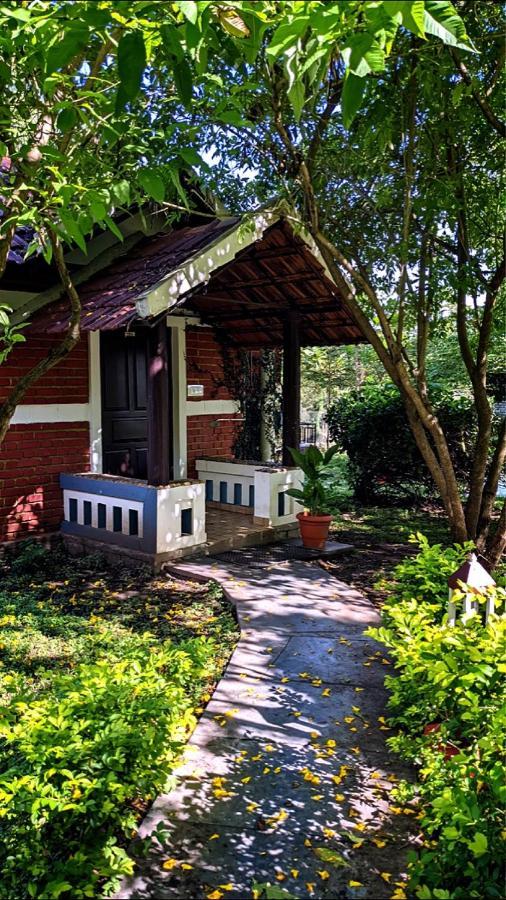Chalets Resort Masinagudi Ooty Ngoại thất bức ảnh