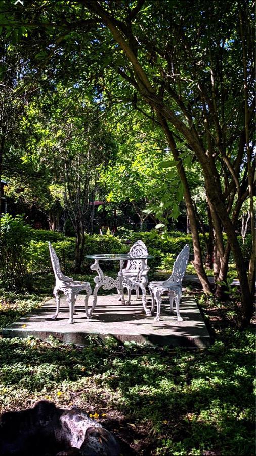 Chalets Resort Masinagudi Ooty Ngoại thất bức ảnh