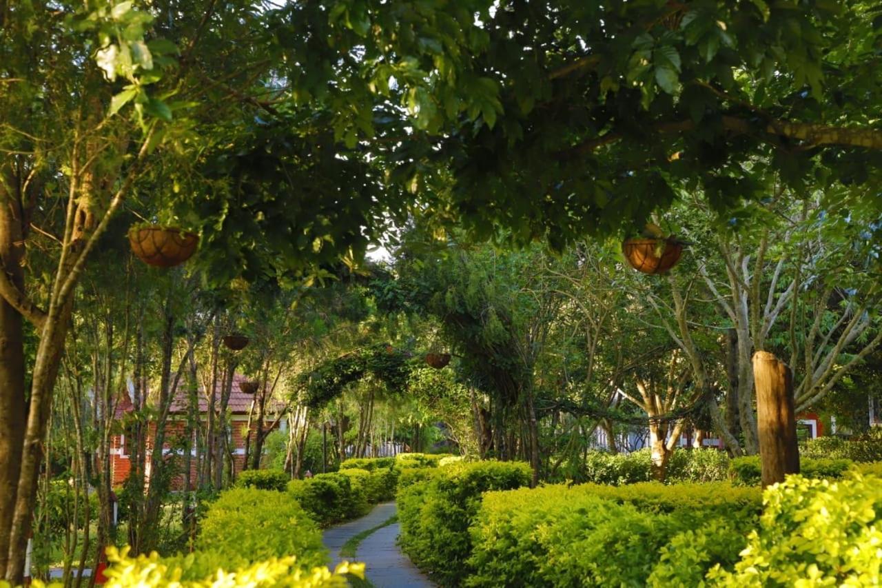 Chalets Resort Masinagudi Ooty Ngoại thất bức ảnh