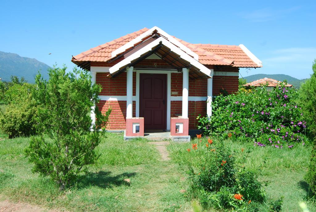 Chalets Resort Masinagudi Ooty Ngoại thất bức ảnh