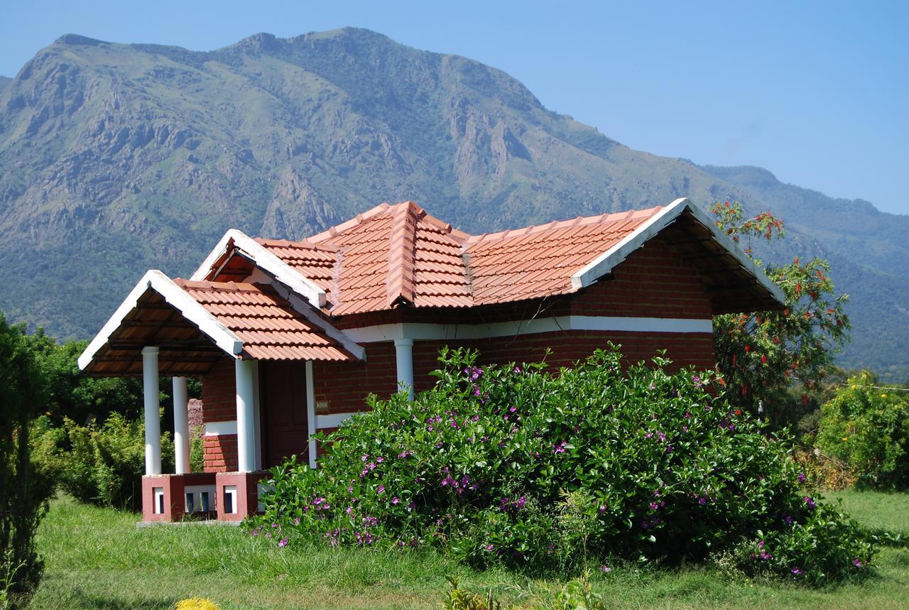 Chalets Resort Masinagudi Ooty Ngoại thất bức ảnh